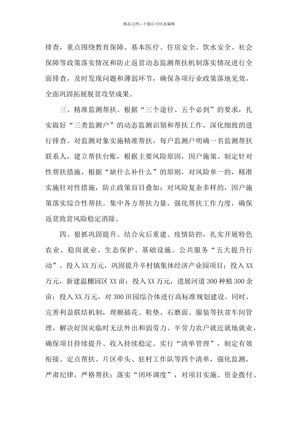 干部在2024全县巩固脱贫成果工作推进会上的发言范文_第2页