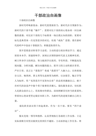 干部政治自画像