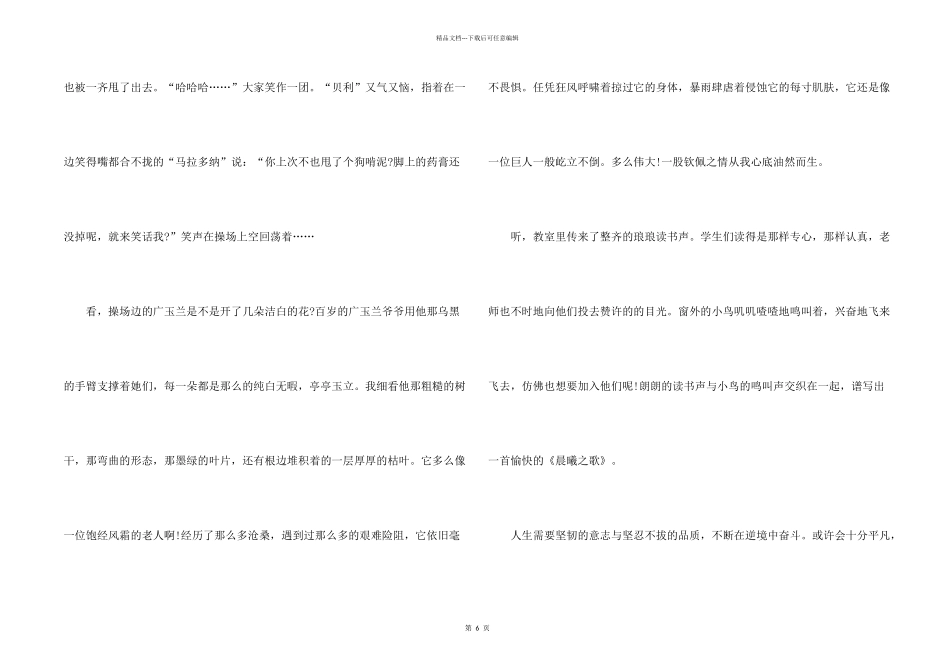 平凡中的精彩六年级_第2页
