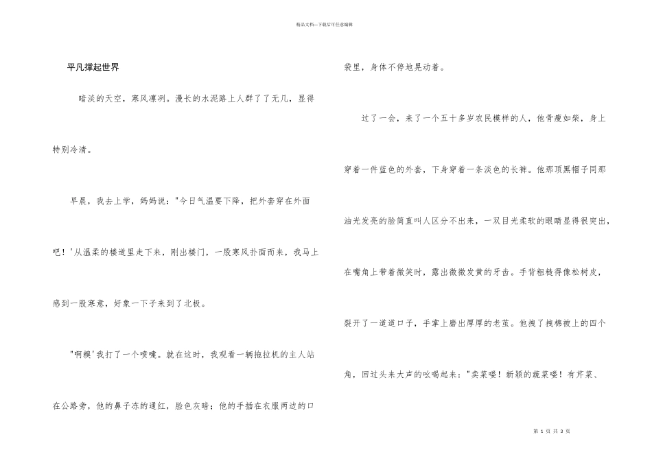 平凡撑起世界_第1页