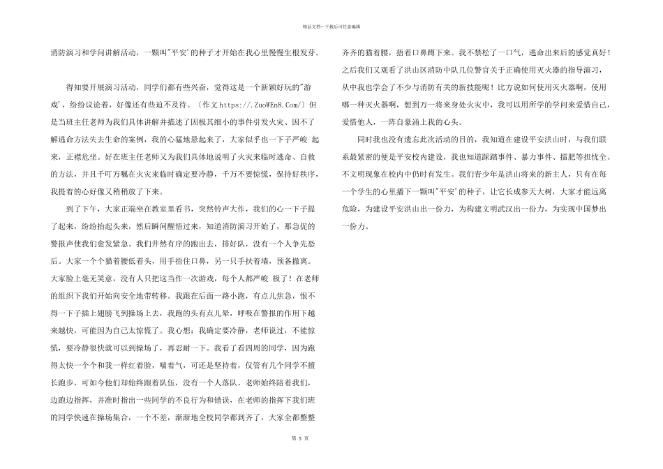 平安洪山建设征文_第2页