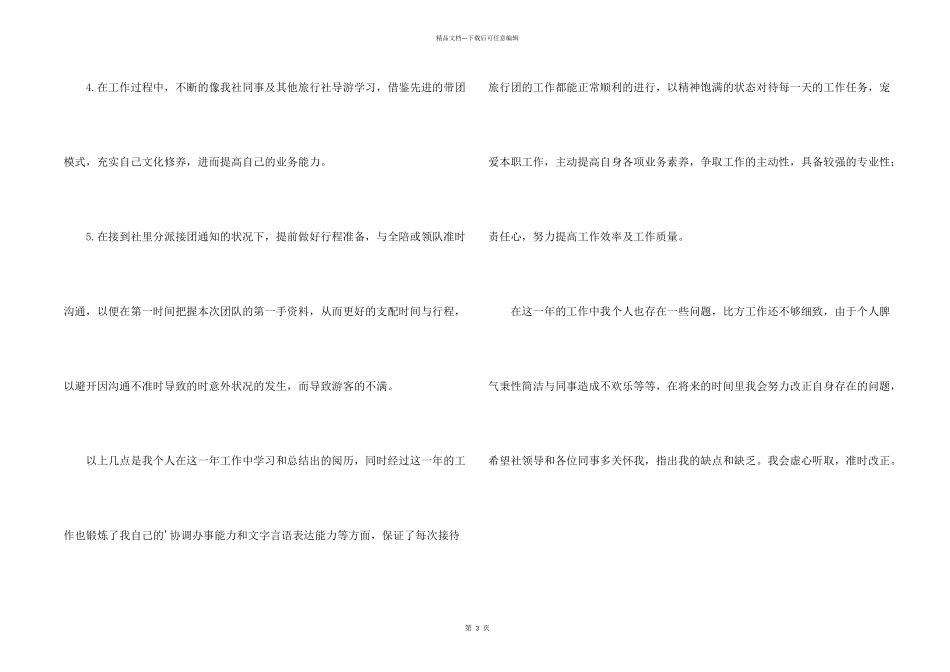年导游年终总结和年工作计划_第2页
