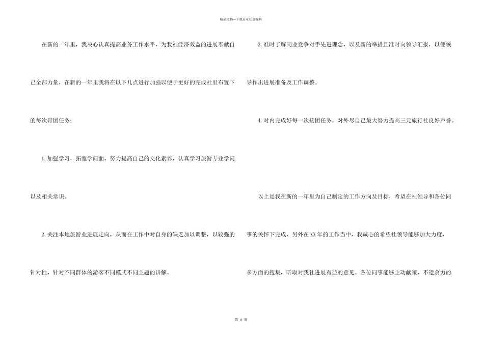 年导游年终总结和年工作计划_第3页