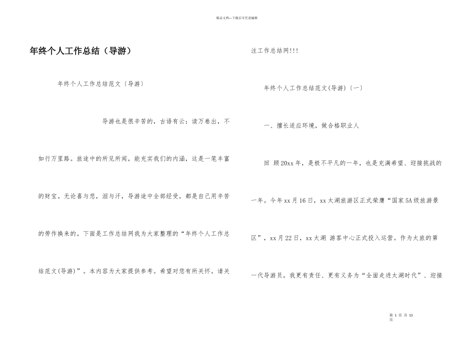 年终个人工作总结（导游）_第1页