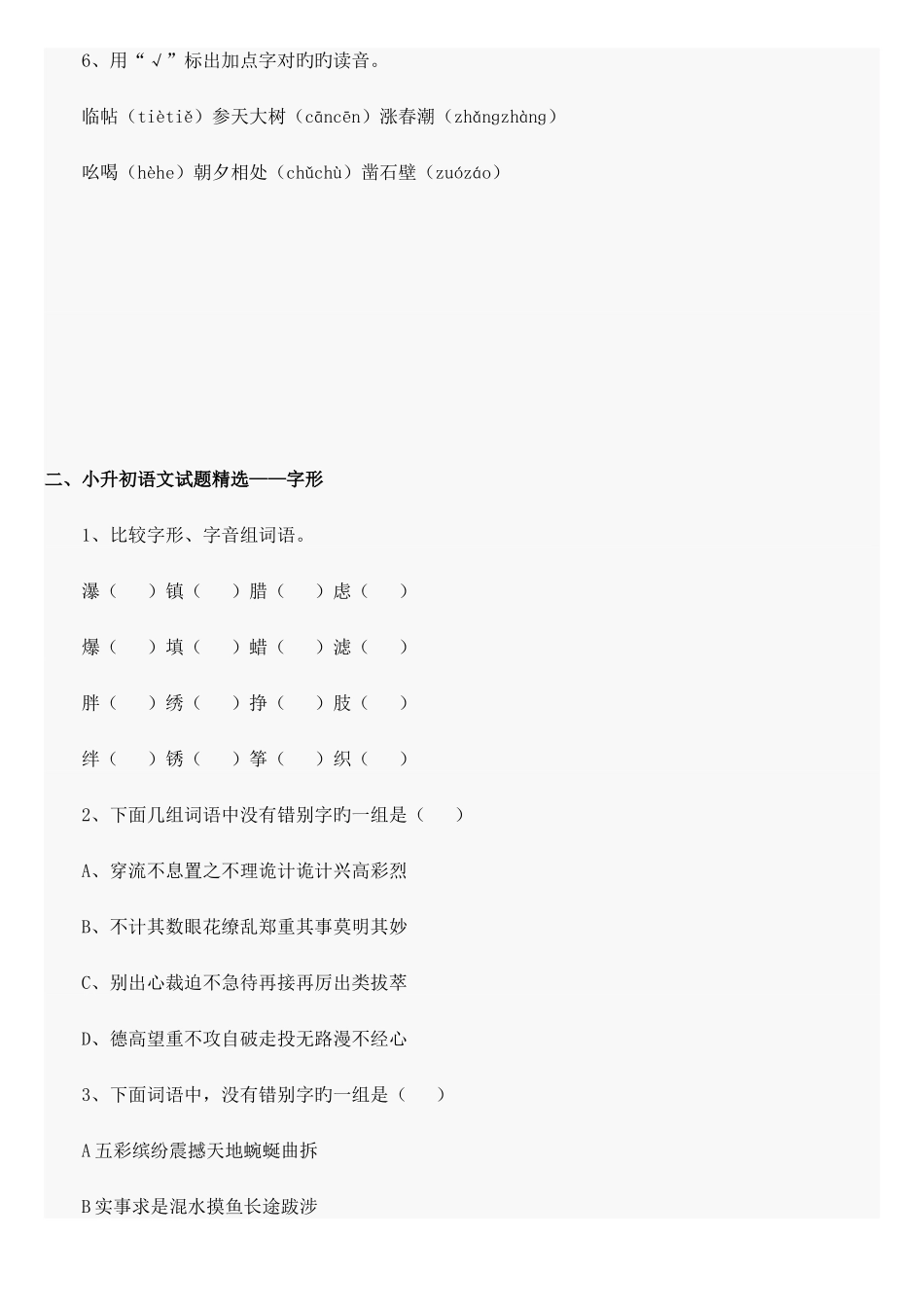 2025年小升初语文总复习汇总_第2页