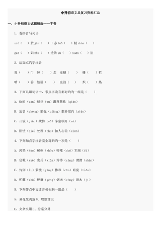 2025年小升初语文总复习汇总