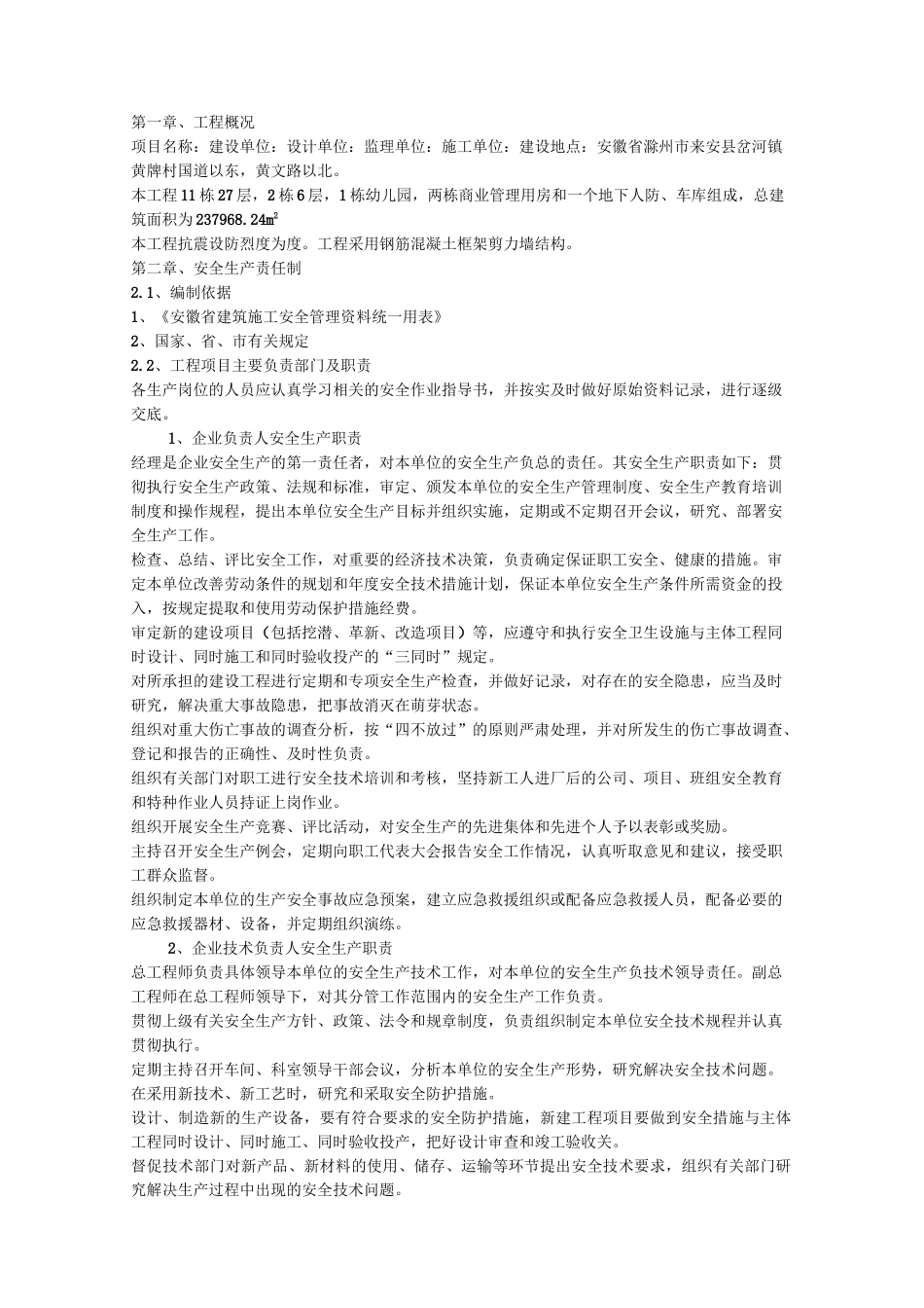 项目安全管理体系_第2页