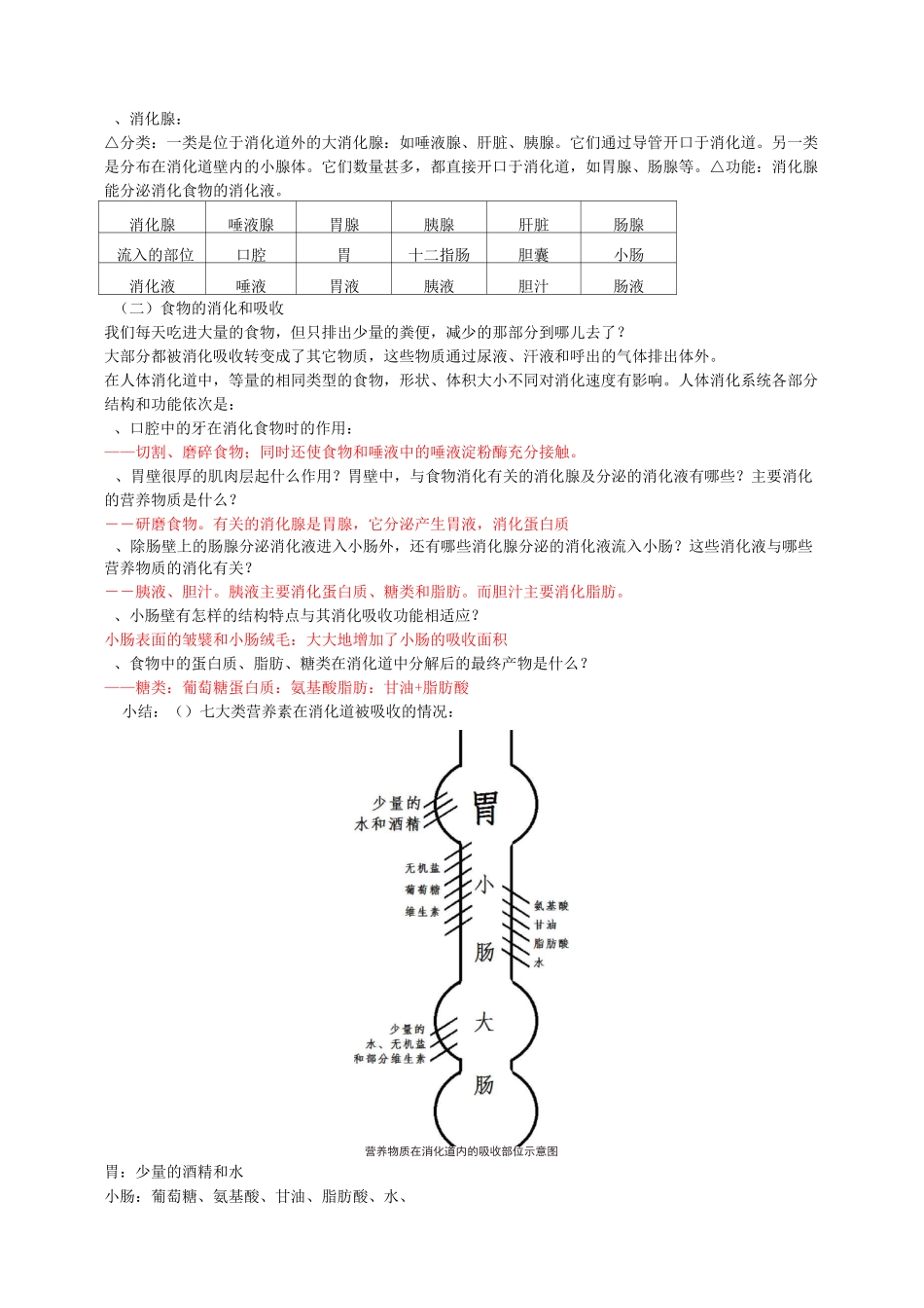 初三科学-生物-生物消化吸收、血液循环_第3页