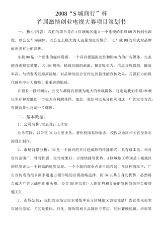 商业策划案示例