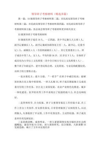 领导班子考察材料(多篇)