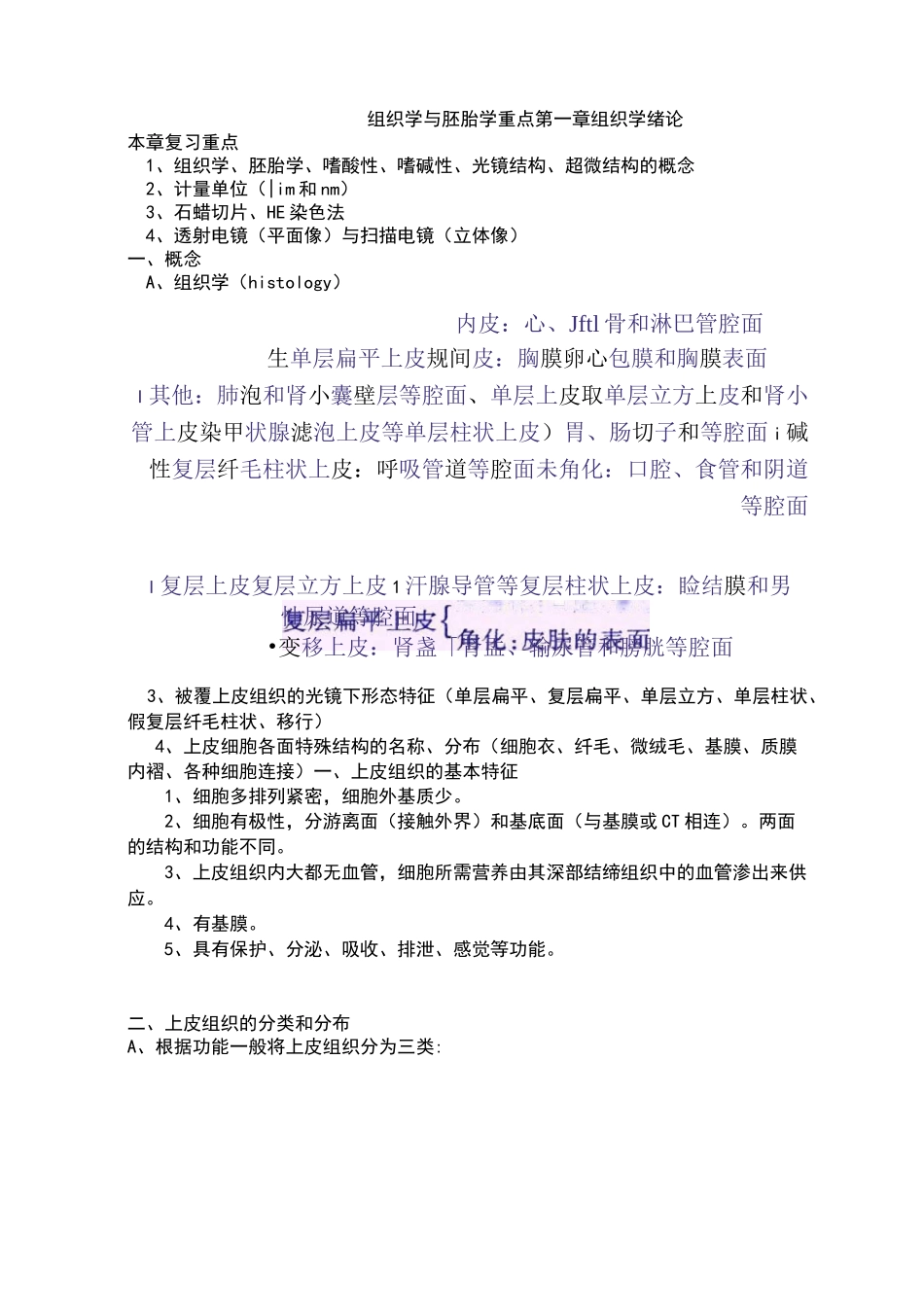 组织学与胚胎学重点_第1页