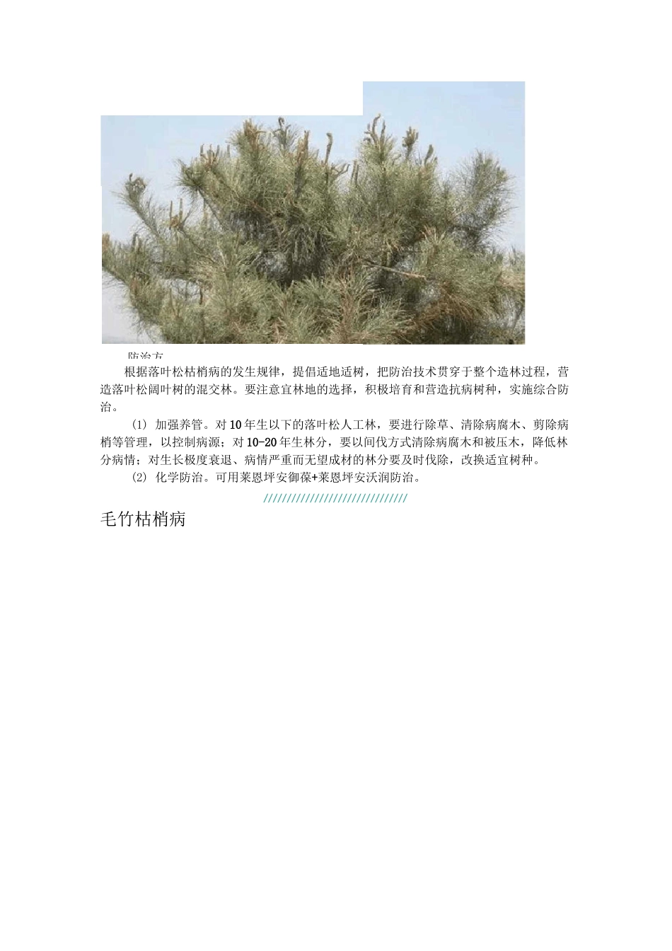 常见几种植物枯梢病的综合防治技术_第3页