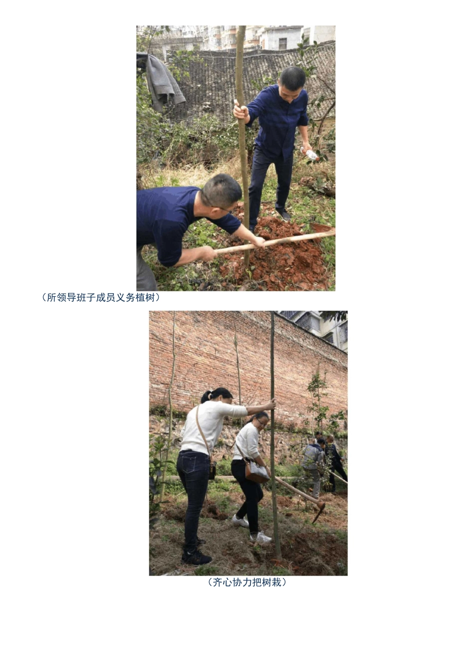 植树活动(美篇)_第3页