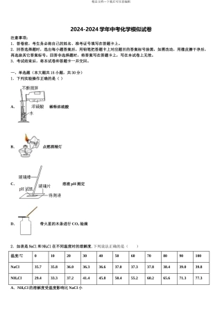广东省2024年深圳实验校中考化学最后冲刺模拟试卷含解析