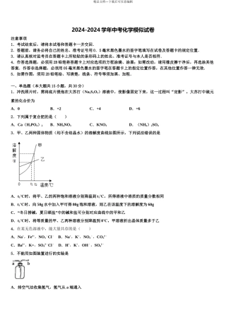 广东省2024年深圳市十校中考一模化学试题含解析