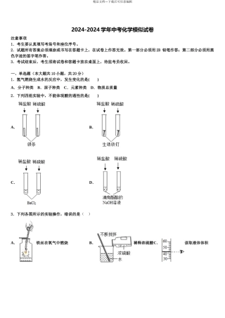 广东省2024年深圳市龙岗区新梓校中考试题猜想化学试卷含解析