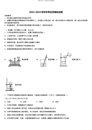 广东省2024年湛江市霞山职业高级中学初中化学毕业考试模拟冲刺卷含解析