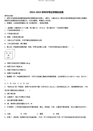 广东省2024年湛江市第二中学中考化学模拟精编试卷含解析