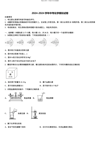广东省中学山纪念中学中考化学适应性模拟试题含解析