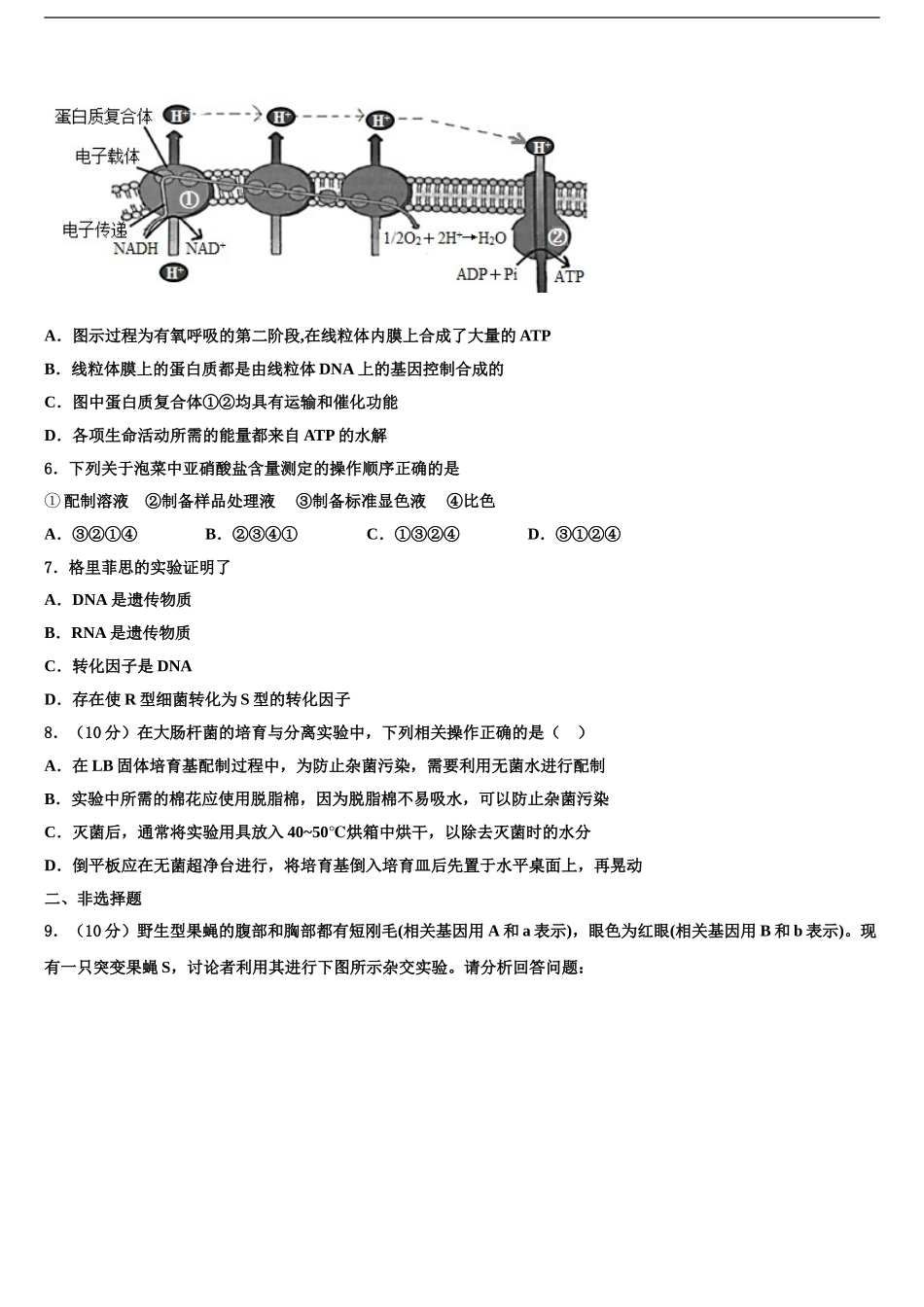 广东省仲元中学高三第三次模拟考试生物试卷含解析_第2页