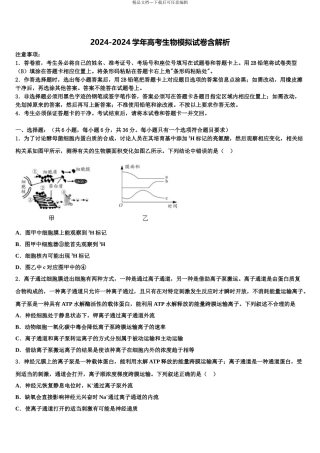 广东省揭阳一中高考生物四模试卷含解析
