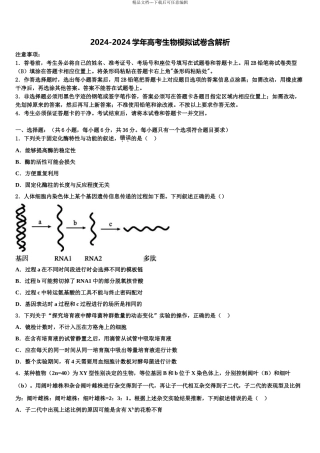 广东省普宁市华侨中学高三第二次模拟考试生物试卷含解析