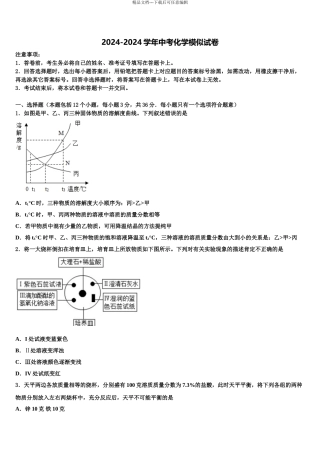 广东省汕头市潮南区司马浦镇中考三模化学试题含解析