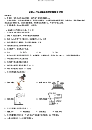 广东省汕头市潮阳区中考试题猜想化学试卷含解析
