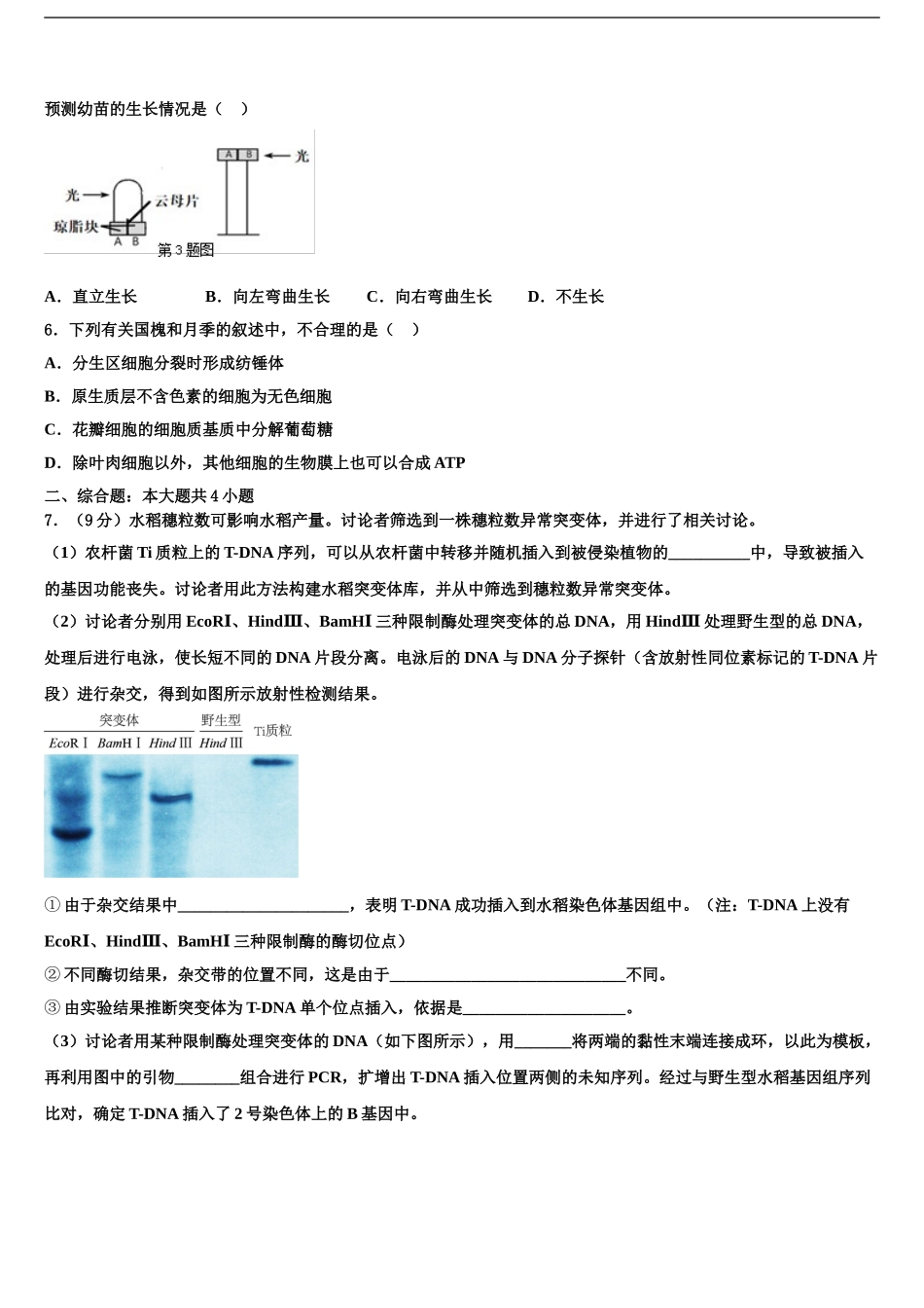 广东省联考联盟高三下学期第五次调研考试生物试题含解析_第2页