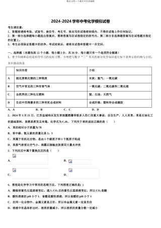 广东省阳东广雅校中考化学仿真试卷含解析