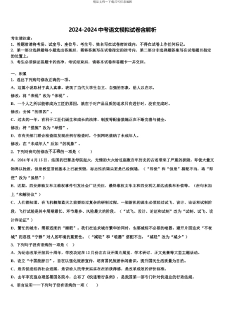 广东省韶关市南雄市重点中学中考语文适应性模拟试题含解析