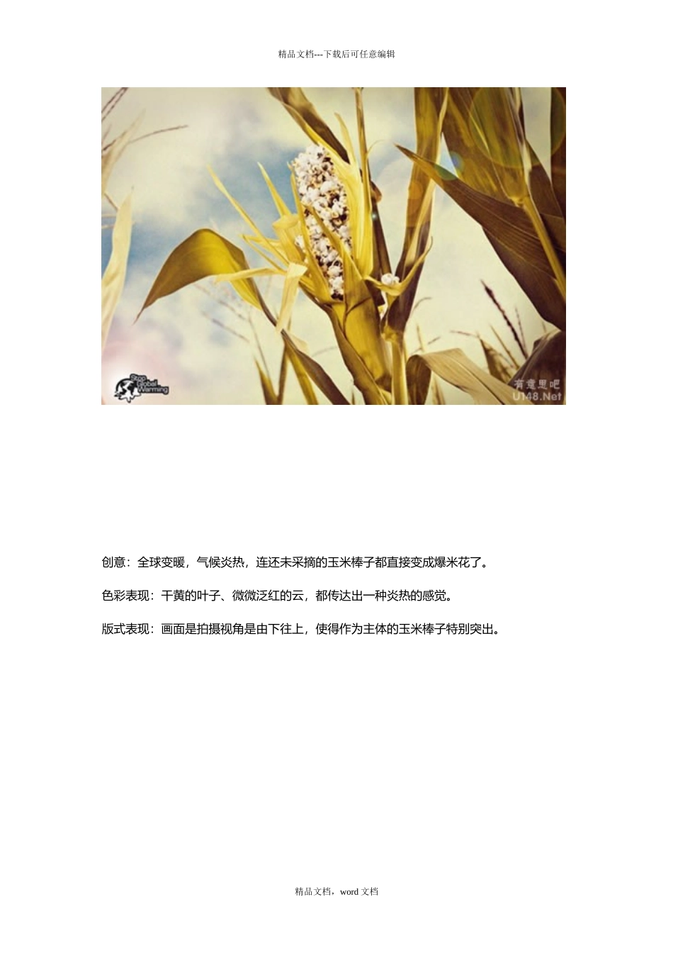 广告作品分析17_第2页