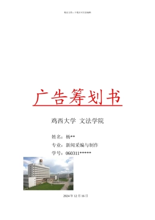 广告战略广告策划与广告效果