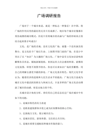 广场调研报告