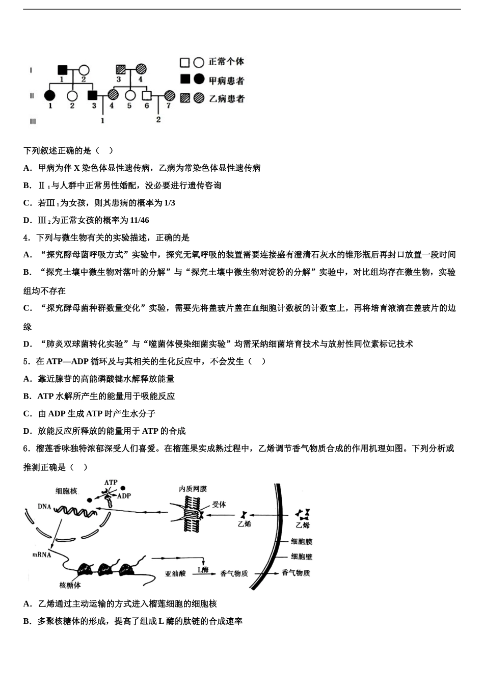 广西北海市普通高中高三下学期联考生物试题含解析_第2页