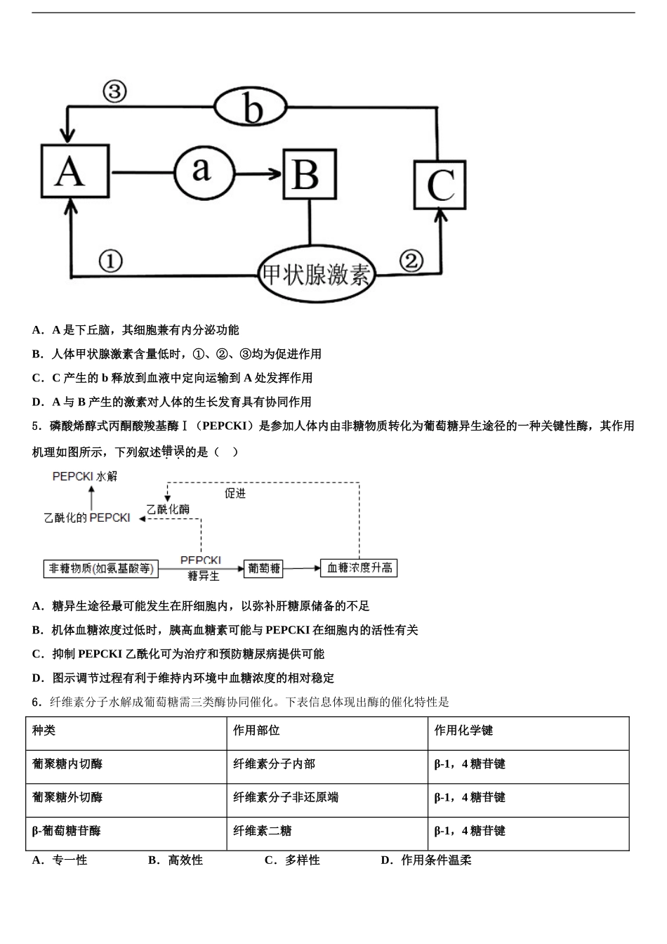 广西南宁八中高三下学期联考生物试题含解析_第2页
