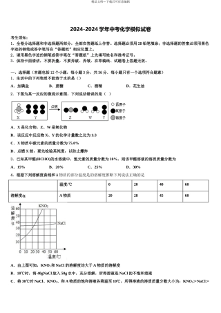 广西南宁市第二十一中学中考化学最后冲刺模拟试卷含解析
