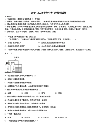 广西南宁中学春季学期中考化学模拟预测试卷含解析