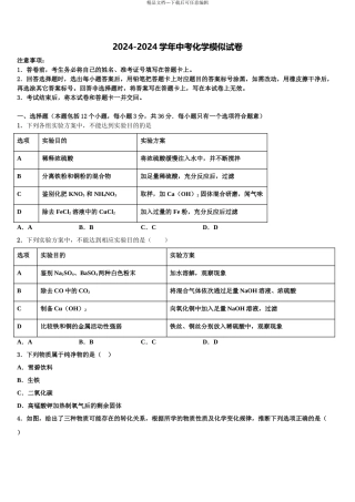 广西壮族自治区南宁市兴宁区达标名校中考化学考试模拟冲刺卷含解析