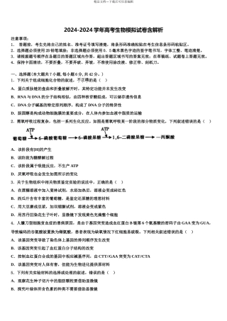 广西壮族自治区南宁市宾阳县宾阳中学高考考前提分生物仿真卷含解析