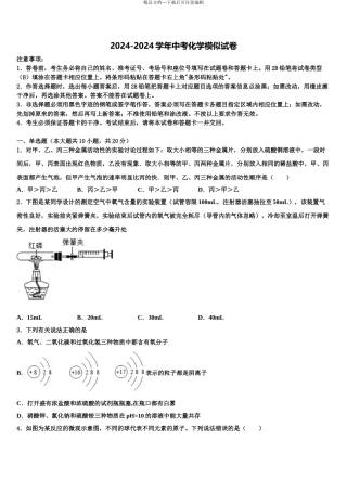 广西崇左市江州区毕业升学考试模拟卷化学卷含解析