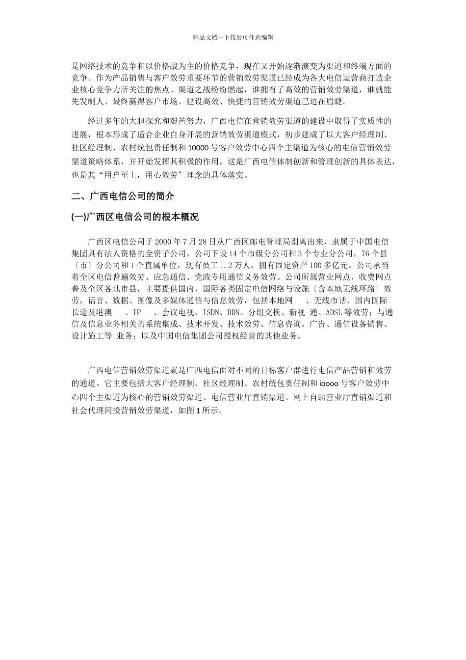 广西电信营销渠道策略调研报告样本_第2页