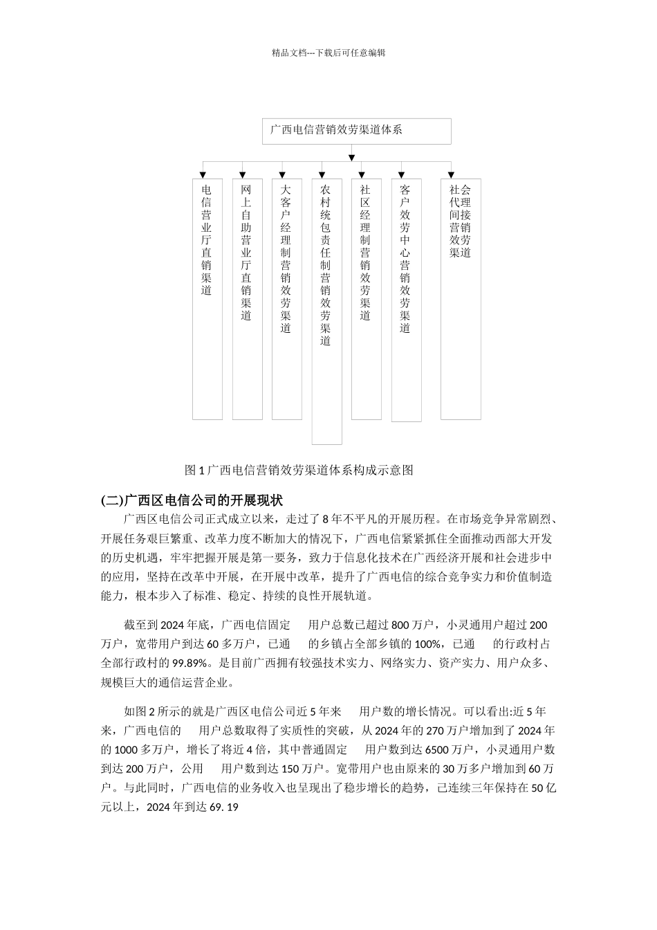 广西电信营销渠道策略调研报告样本_第3页