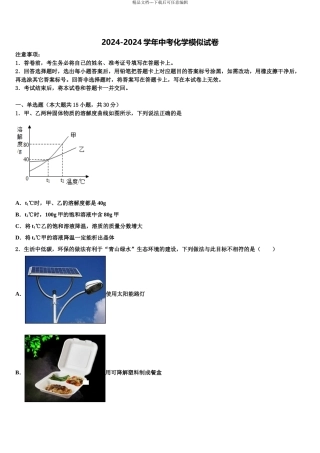 广西防城港市重点中学中考化学适应性模拟试题含解析