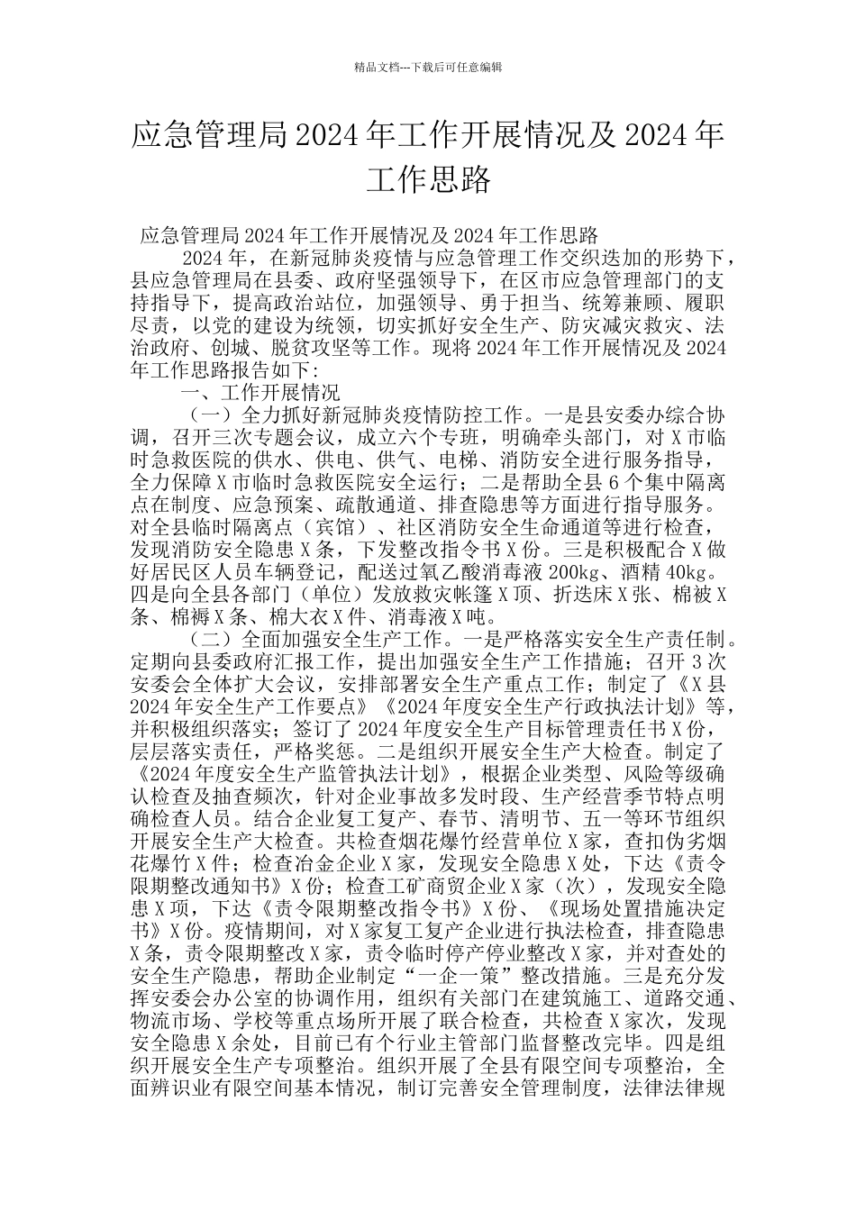 应急管理局2024年工作开展情况及2024年工作思路_第1页
