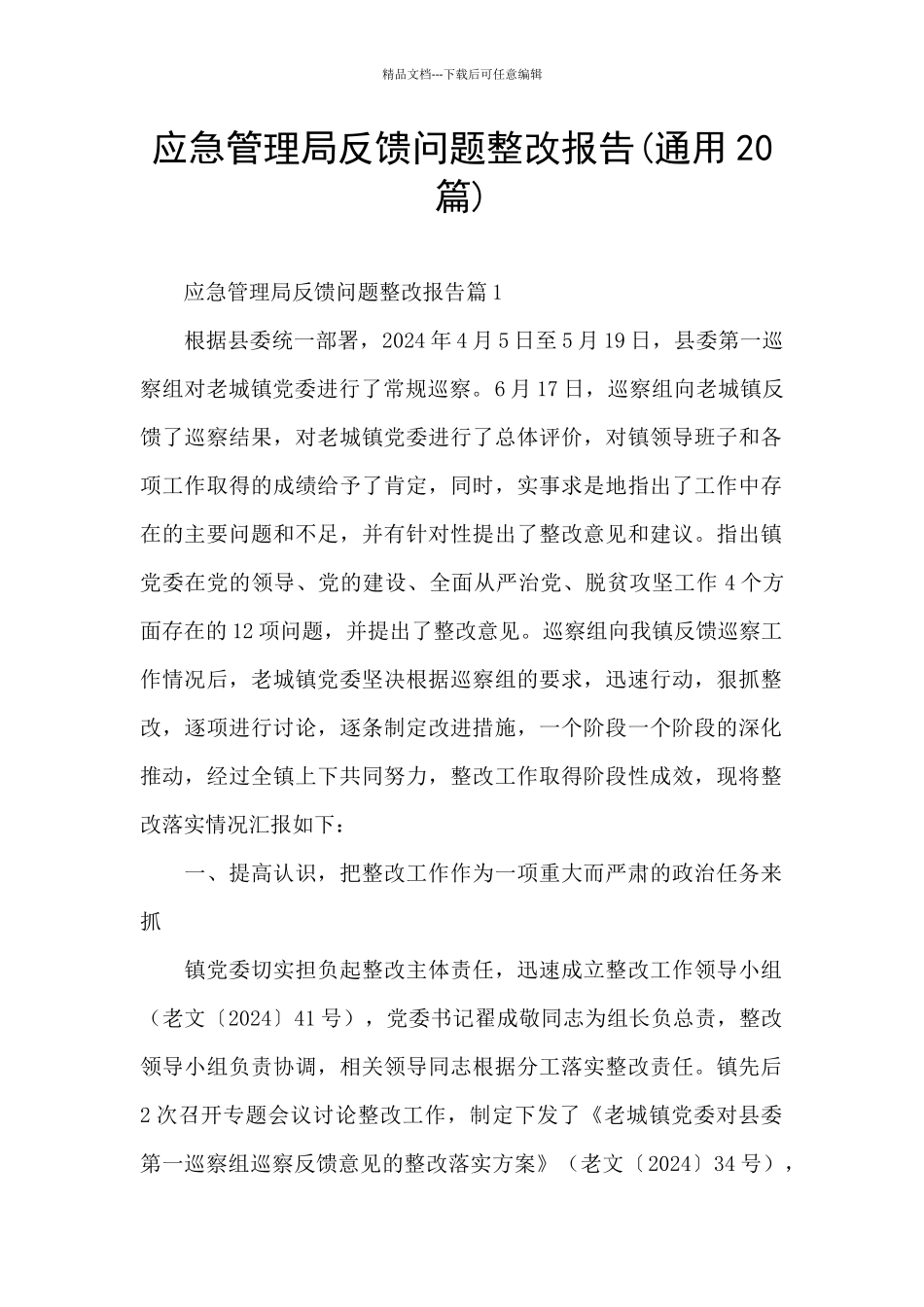 应急管理局反馈问题整改报告_第1页