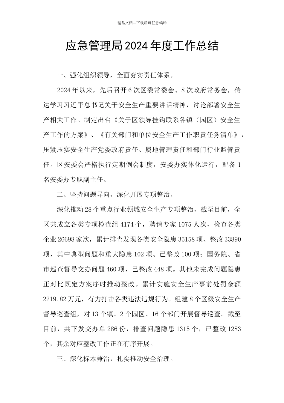 应急管理局2024年度工作总结_第1页
