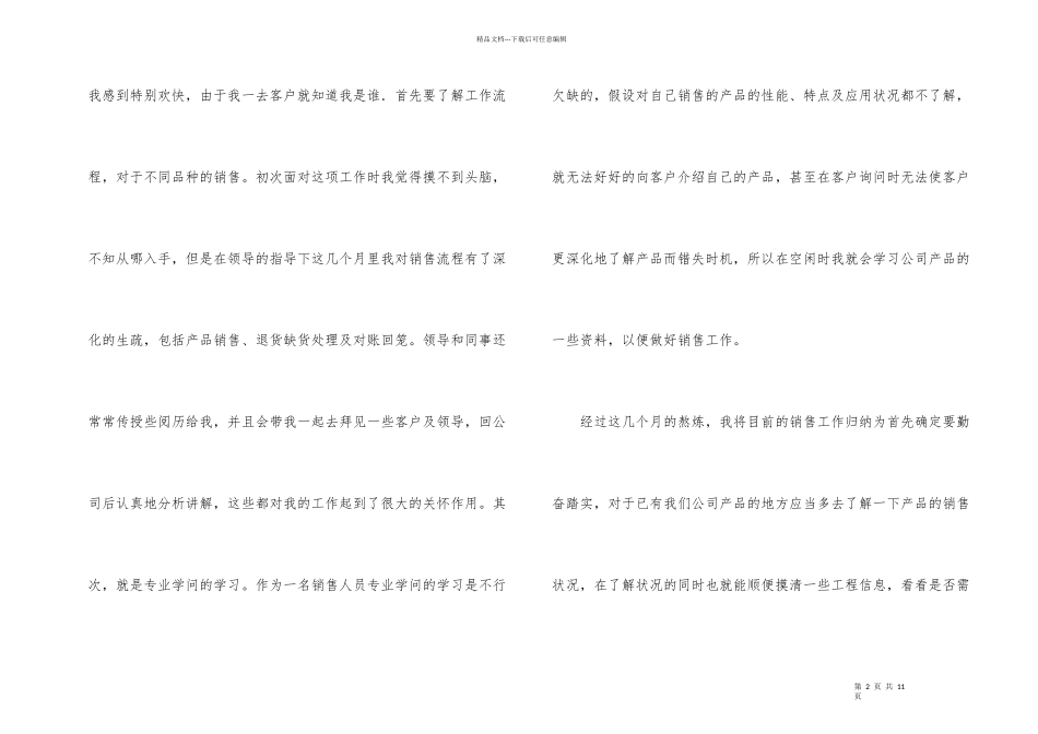 建材销售试用期工作总结_第2页
