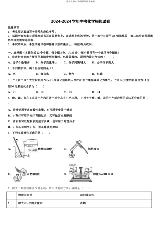 建湖实中教育集团中考五模化学试题含解析