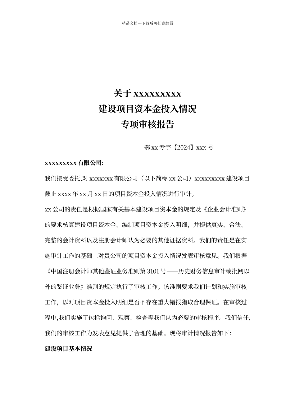 建设项目资本金专项审计模板_第1页